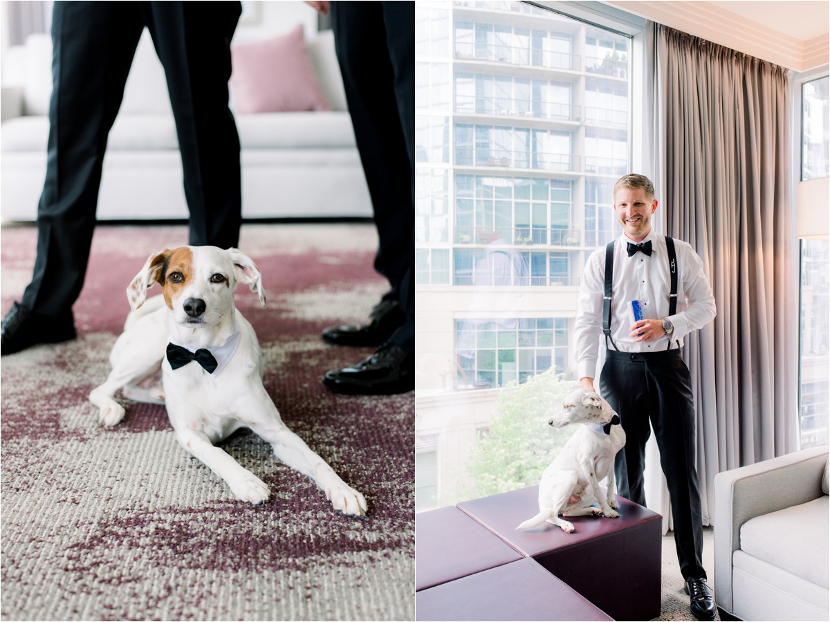 groom getting ready, dogs at weddings