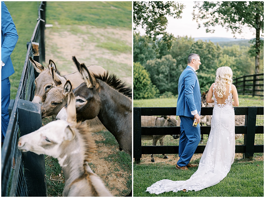 atlanta-wedding-photographer-lewallen-farms-reception