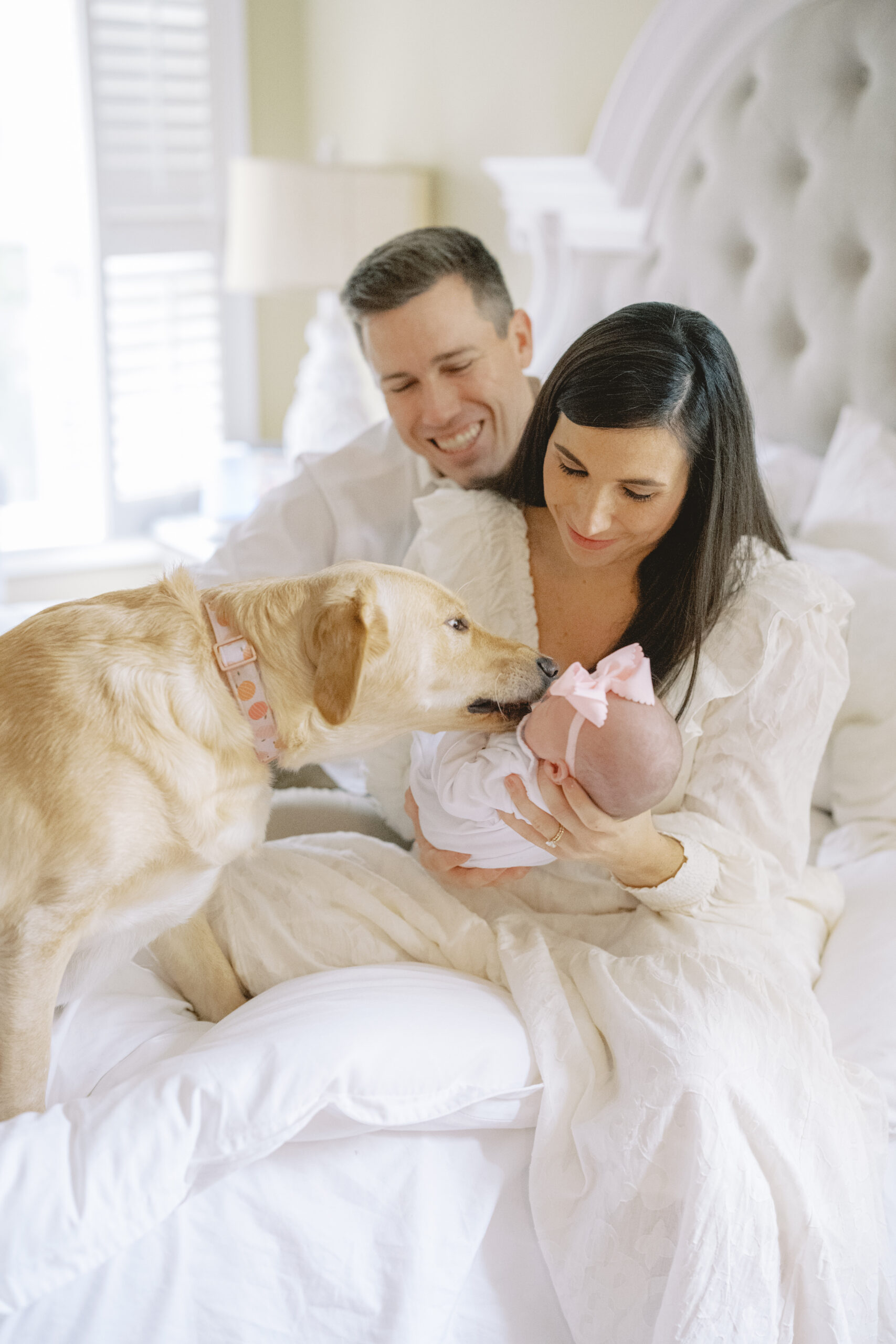 atlanta-newborn-session-with-family-dog