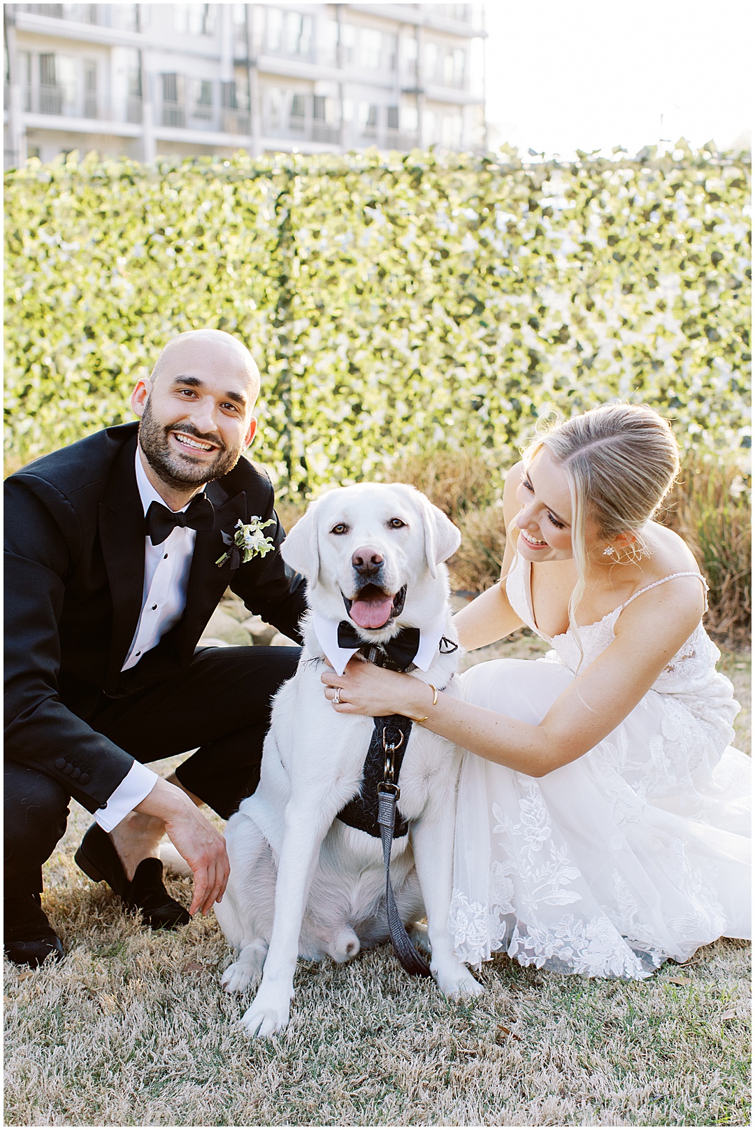 bride and groom photos with dog