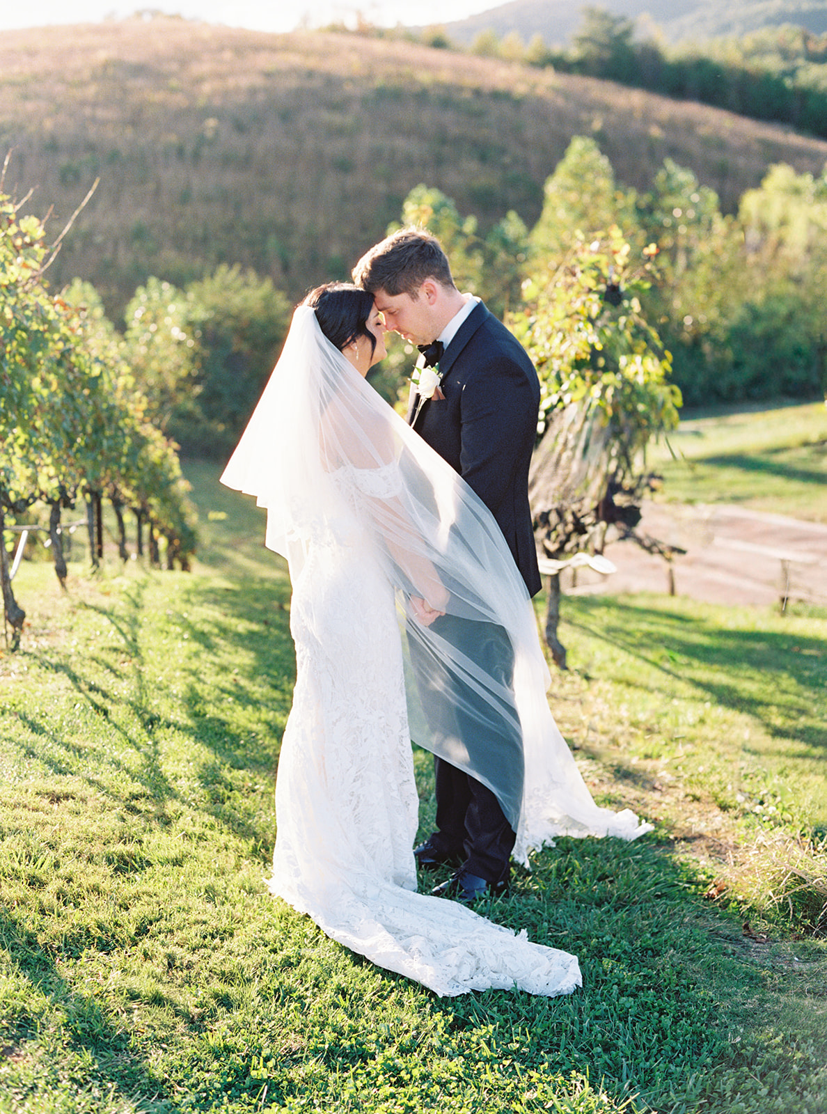 Yonah Mountain Vineyards